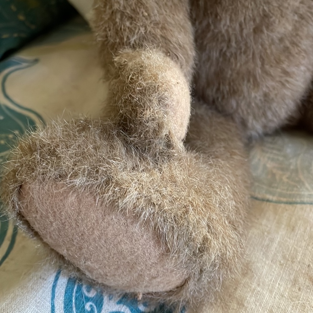 Boyds Bear - Picture 4 of 5